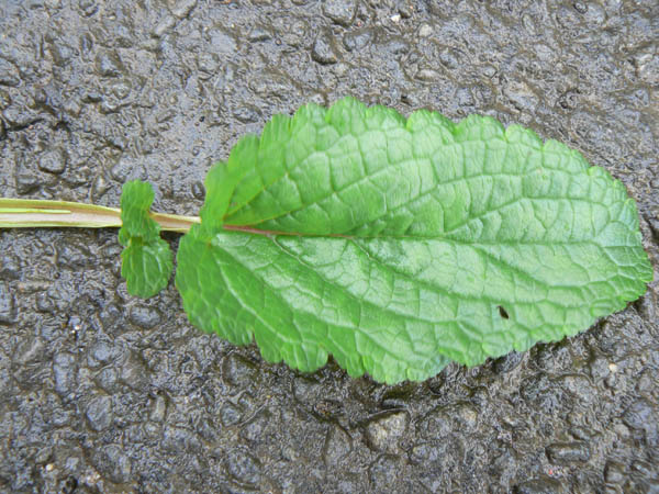 image03.jpg