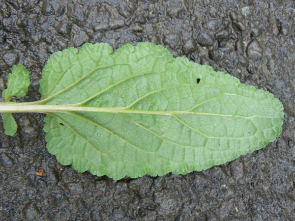 image04.jpg