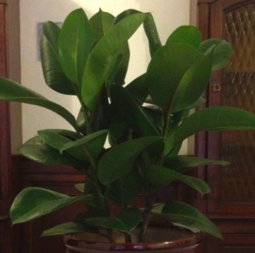 Image 8.png