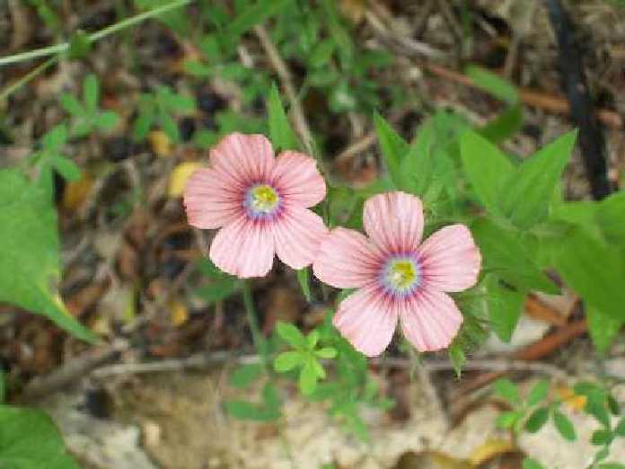 102_7596.jpg