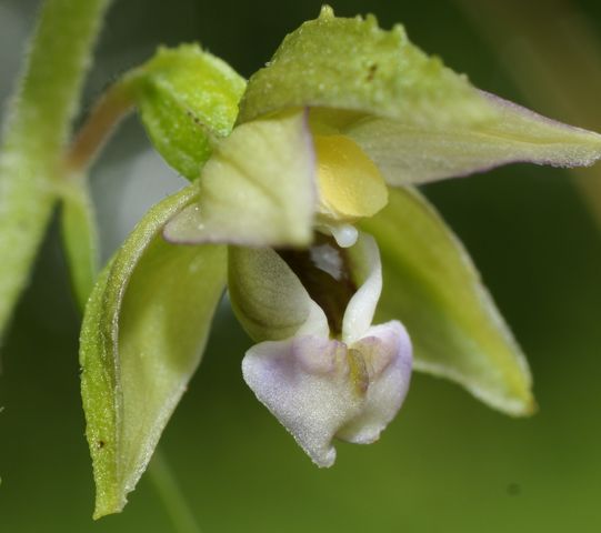 DSC01301 [640x480].JPG