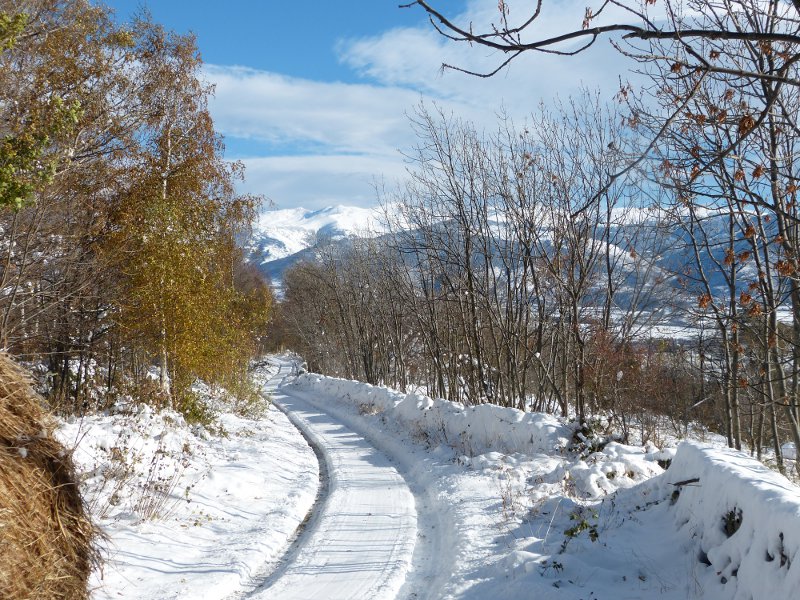 chemin de la serre.jpg