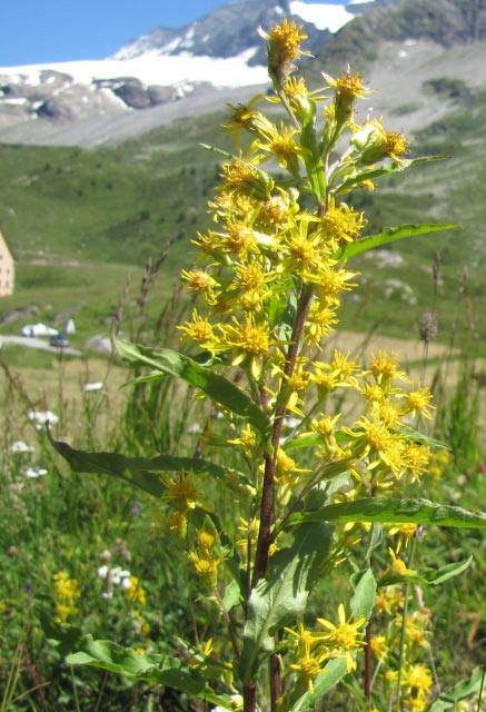 IMG_2004_modifié-1.jpg