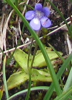 IMG_8839_modifié-2.jpg