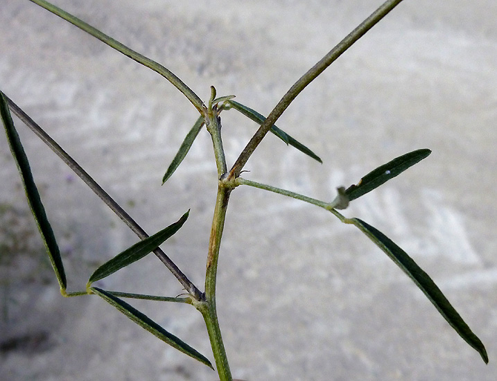 04P1090285RRW.jpg