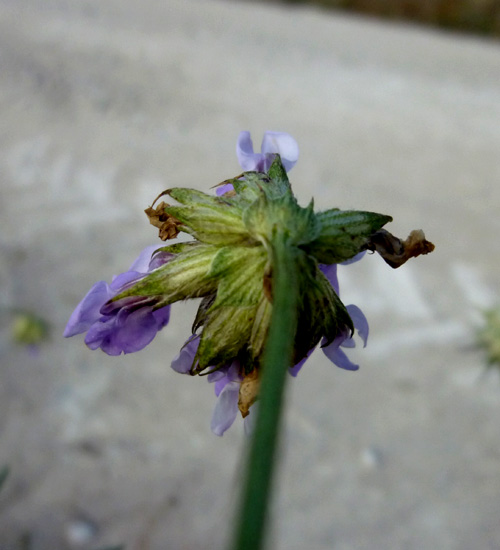 03P1090282RRW.jpg