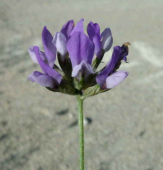 02P1090278RRW.JPG