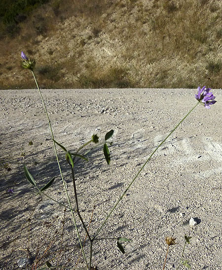01P1090276RRW_.jpg