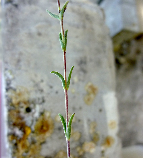 07P1090363RRW.jpg