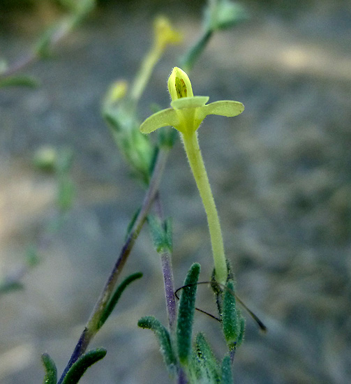 03P1090345RRW.jpg