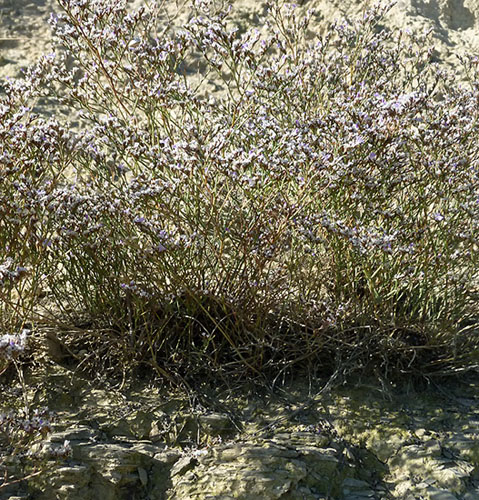P1090388RRW_2.jpg