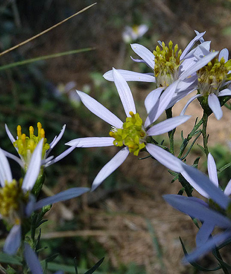 3P1090752.jpg