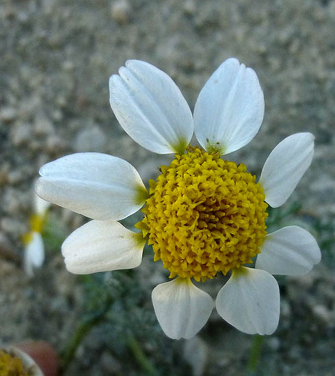 02P1090545.jpg