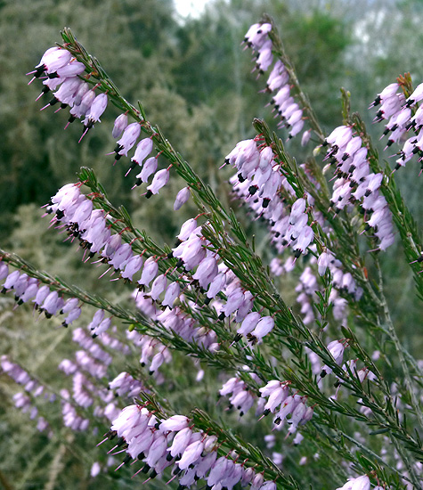 03P1100967RRW2.jpg