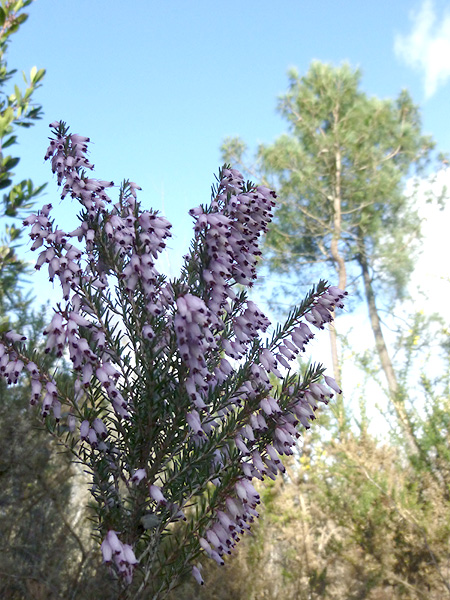 02P1100976RRW.jpg