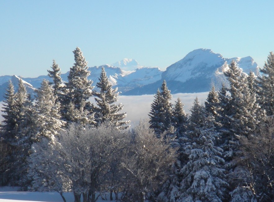Mont-Blanc depuis la Molière.jpg