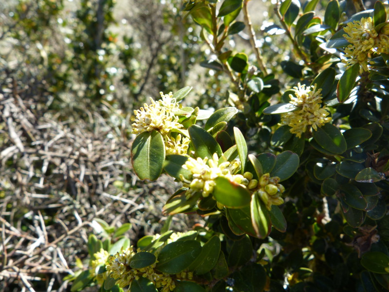 2014-04-06, bellver 121.jpg