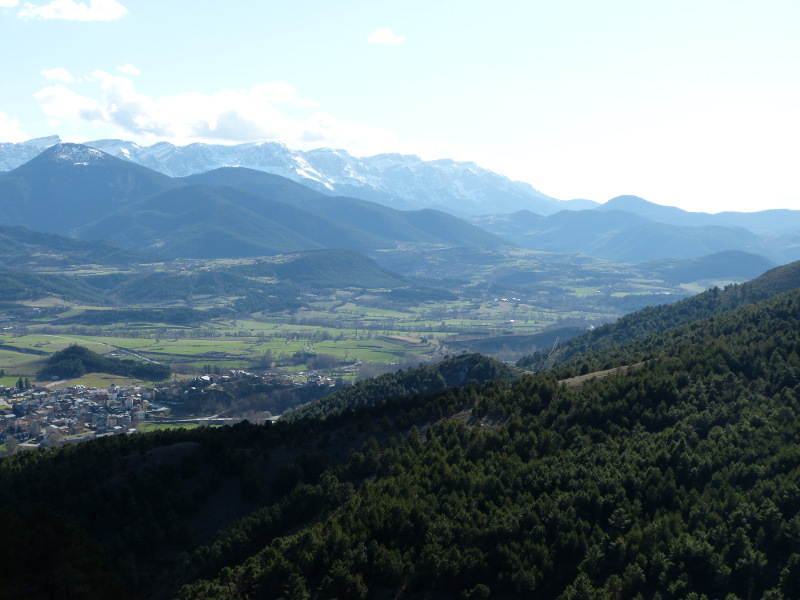 2014-04-06, bellver 136.jpg