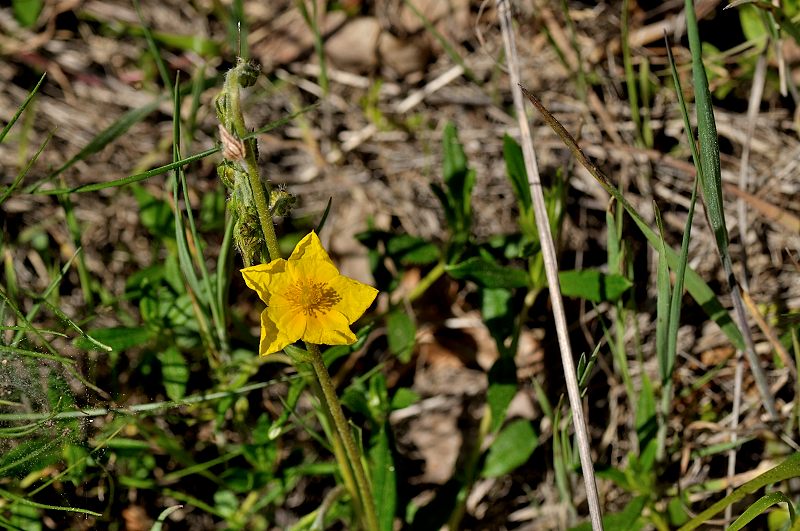 DSC_0854.JPG