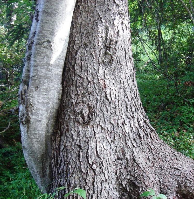 Photo 012b.jpg