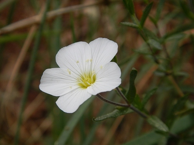 DSCN5225.JPG