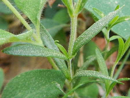 DSCN5223.JPG