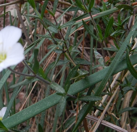 DSCN5224.JPG