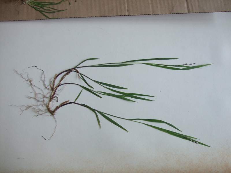 DSCF8875.JPG