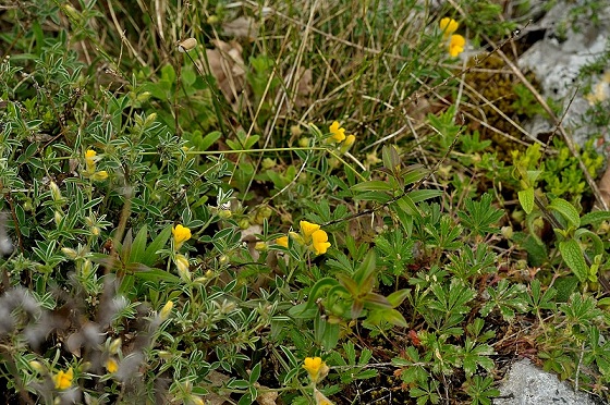 DSC_0855.JPG
