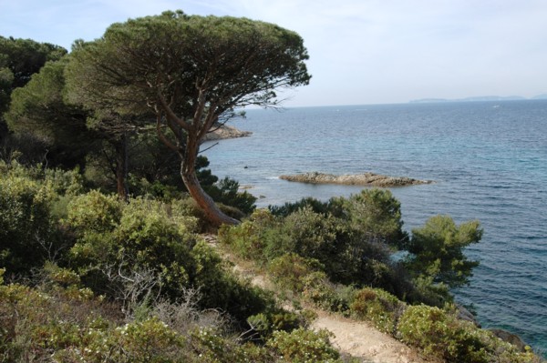 01 Littoral.jpg