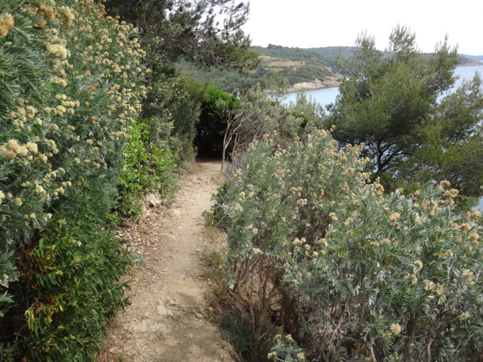 02 Sentier du littoral.jpg