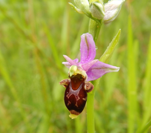 DSCN5440.JPG