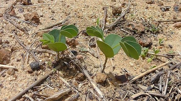 S4120002.JPG