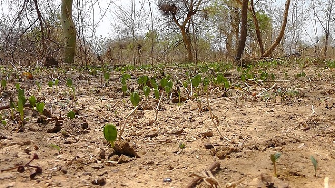 S2990010.JPG