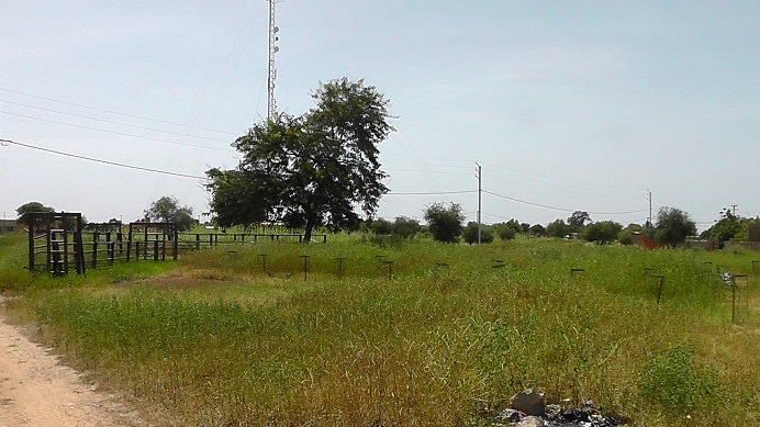 S3590005.JPG