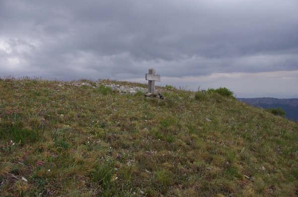 Le sommet 1434m d'alt.