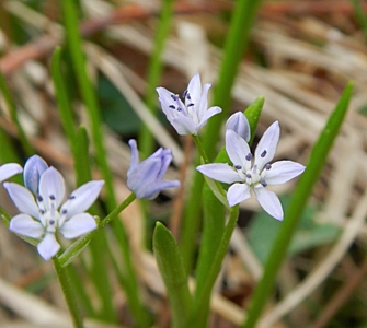DSCN5213.JPG