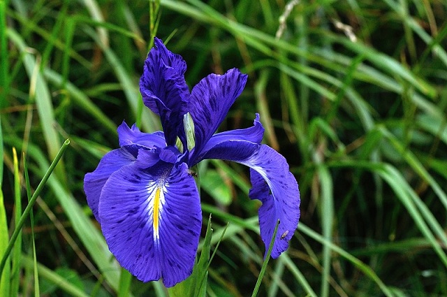 DSC_0819.JPG