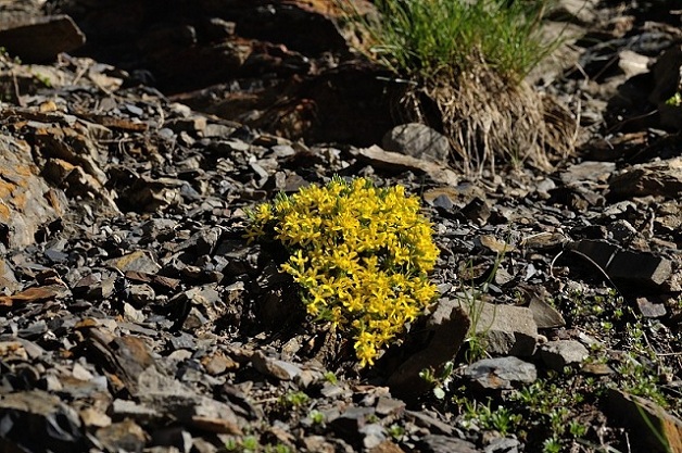 DSC_0850.JPG