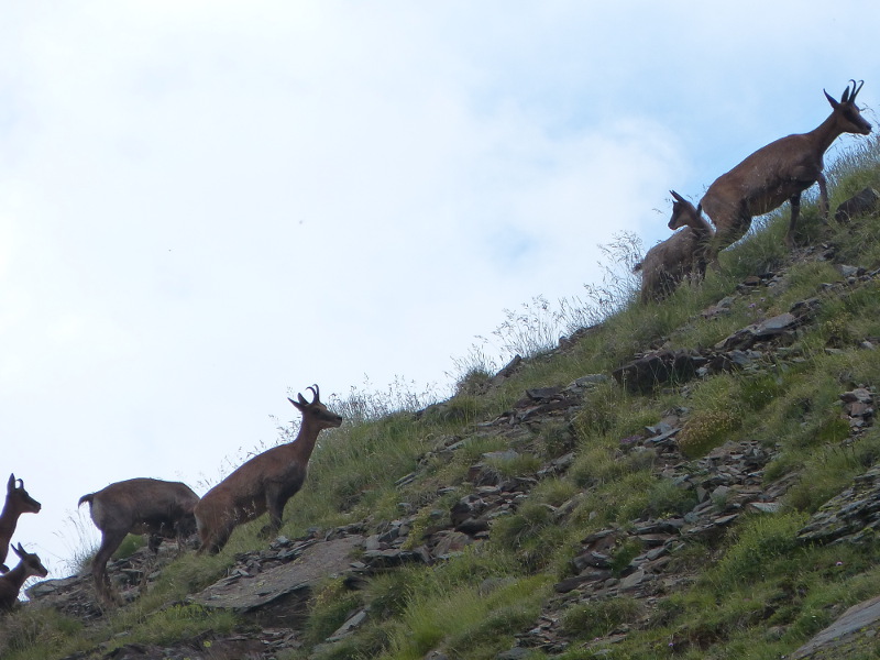 2014-07-25, eyne 31.jpg