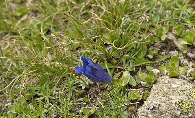 DSC_0905.JPG