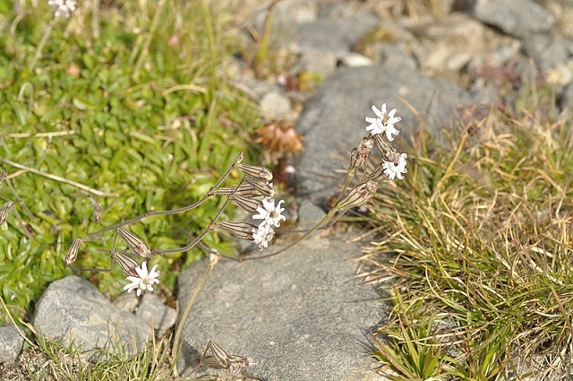 DSC_0838.JPG