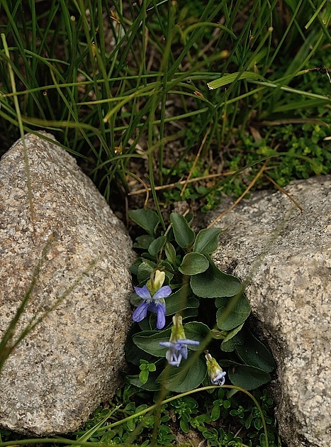 DSC_0875.jpg
