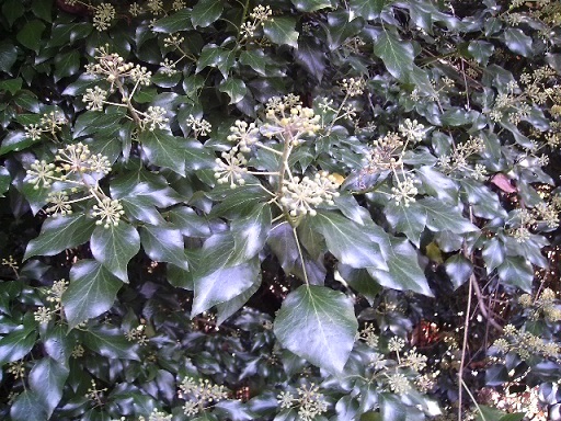 BILD0535.JPG