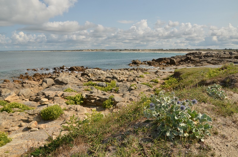 sud de la baie d'Audierne.jpg