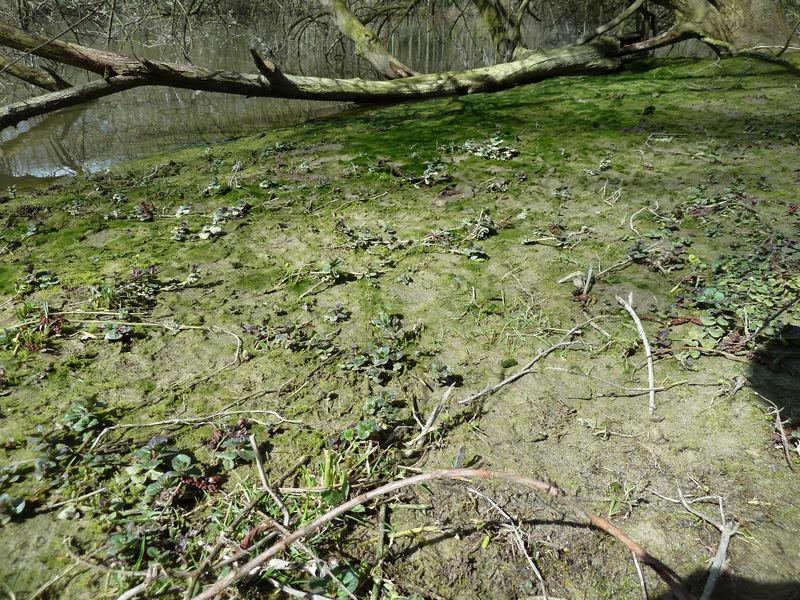 Le lieu, en bord de l'Oise