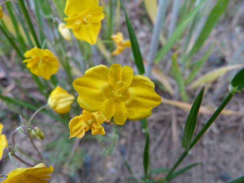 2015-05-03, h2.jpg