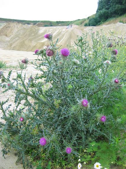 Photo 001.jpg