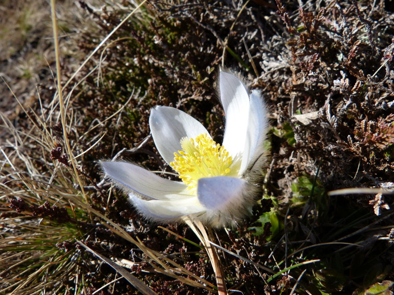 2015-05-08, p 029.jpg