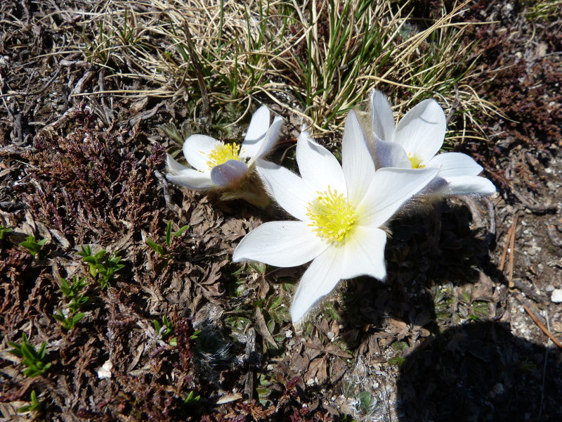 2015-05-08, p089.jpg